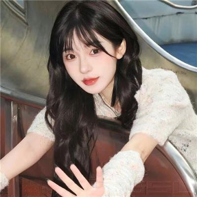 全美缉凶:本·拉登